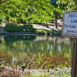 Merribrook_7 (2)