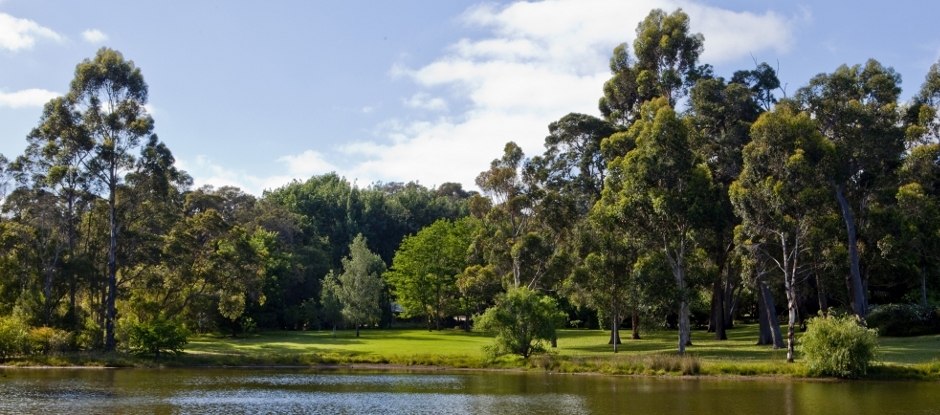 banner_bg1