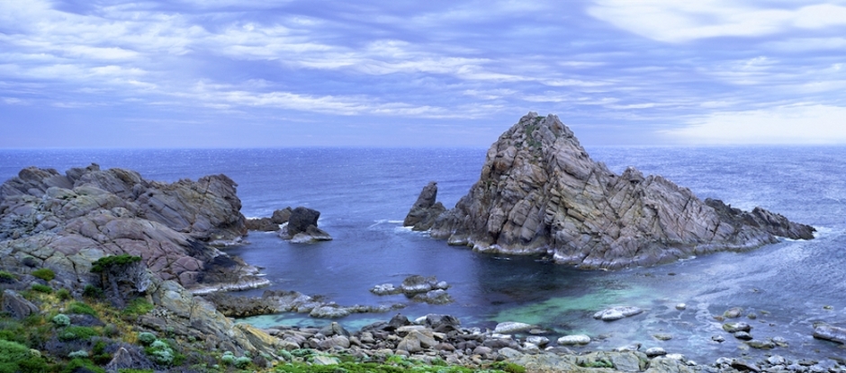 banner_bg1