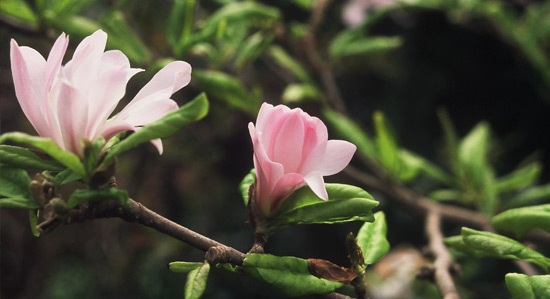home_slider_5