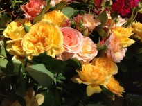 5Goldenflowers