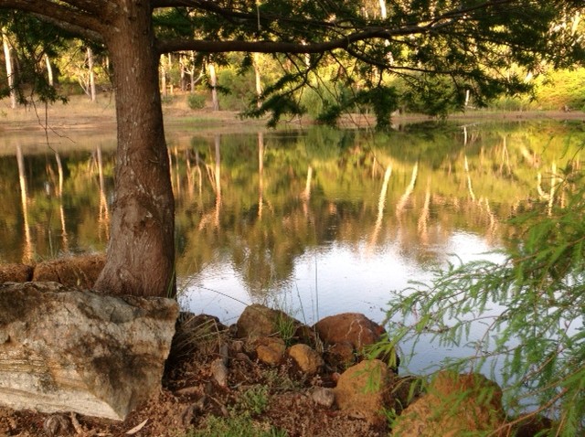 5Lakereflection